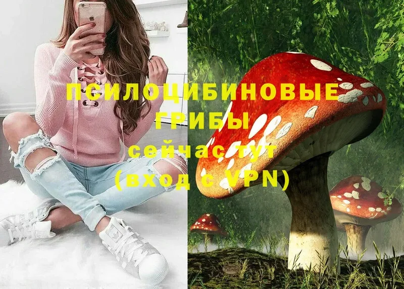 Галлюциногенные грибы Cubensis  hydra ONION  Губаха  купить  цена 